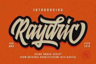 Raydric Script + Shadow Outline: A Modern Handwritten Font with Impact